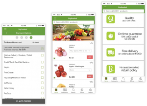 BigBasket App Development Cost